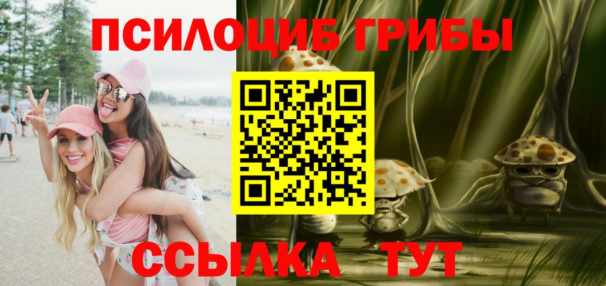 Кинель  Галлюциногенные грибы Psilocybe  Вход с VPN 